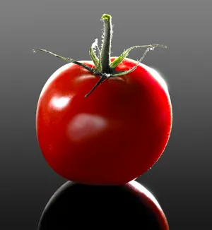 Gourmet Tomato and Berry Salad closeup view