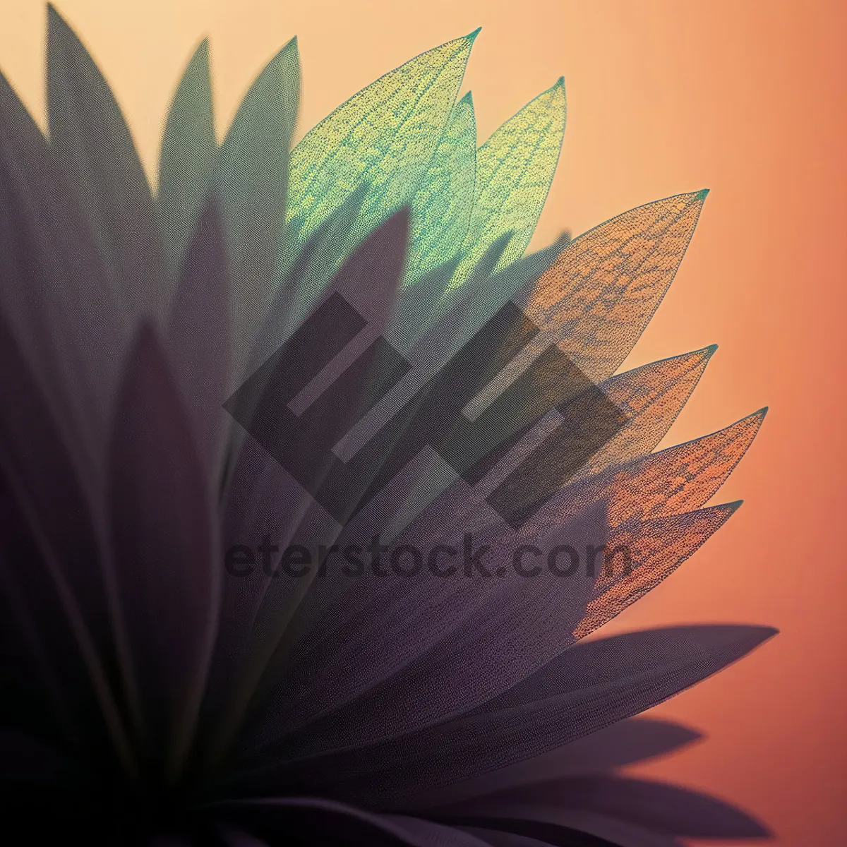 Picture of Vibrant Lotus: Colorful Abstract Floral Motion