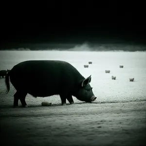 Pink Piggy Bank - Saving Money on the Farm