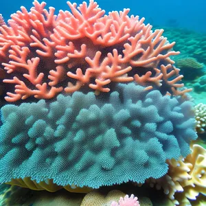 Vibrant Marine Life in Deep Tropical Coral Reef