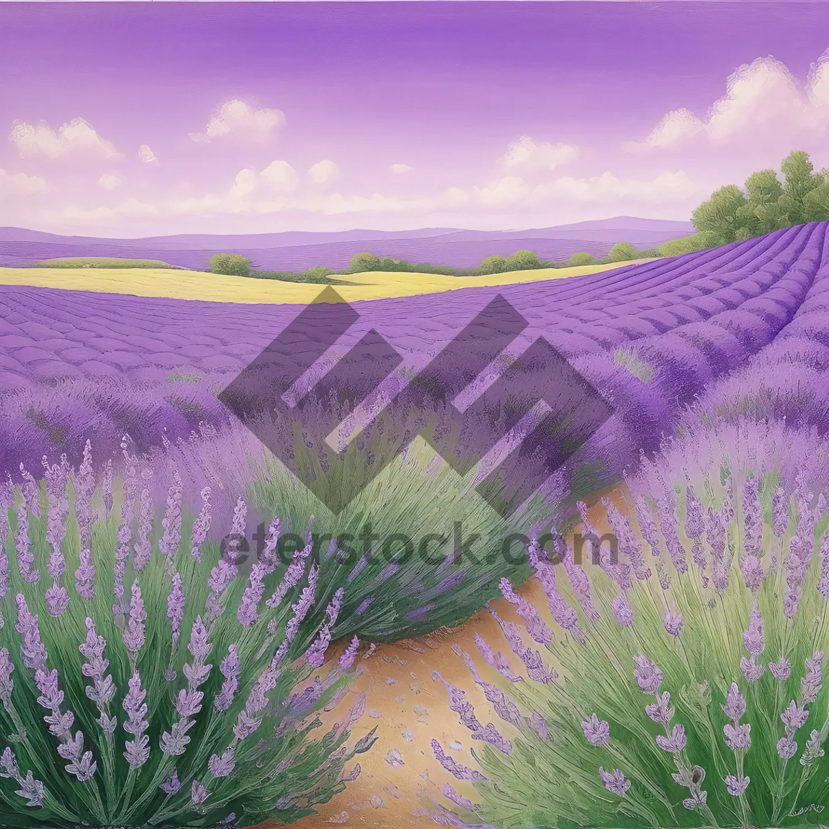 Picture of Vibrant Lavender Heath in a Serene Rural Landscape