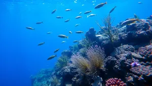 Colorful tropical fish swimming in sunlit coral reef.