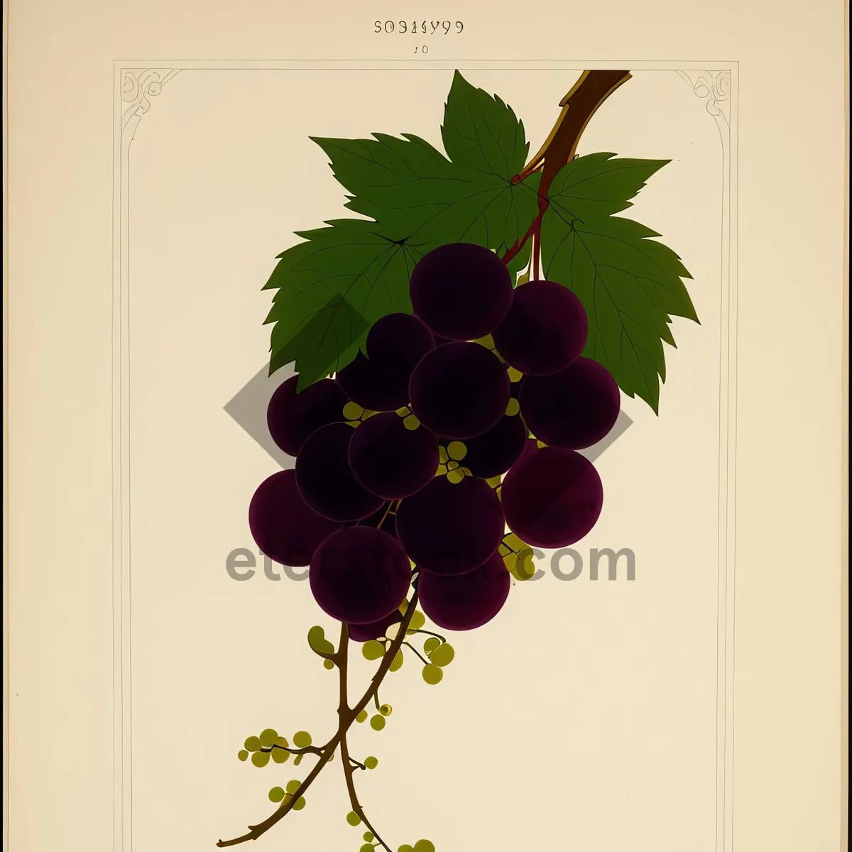 Picture of Festive Winter Berry Decoration