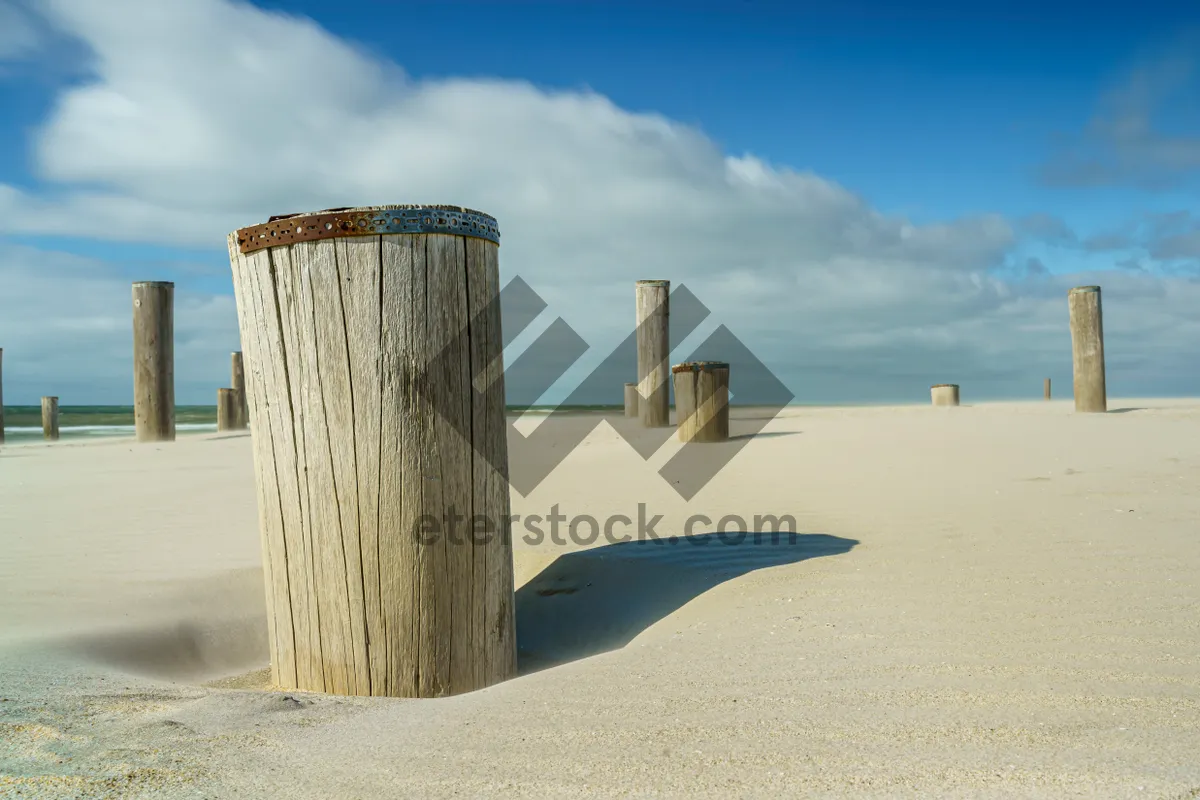 Picture of Beachfront container bin with ocean view