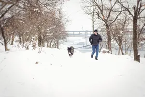 Winter Fun in Snowy Park: Skiing and Snowshoeing