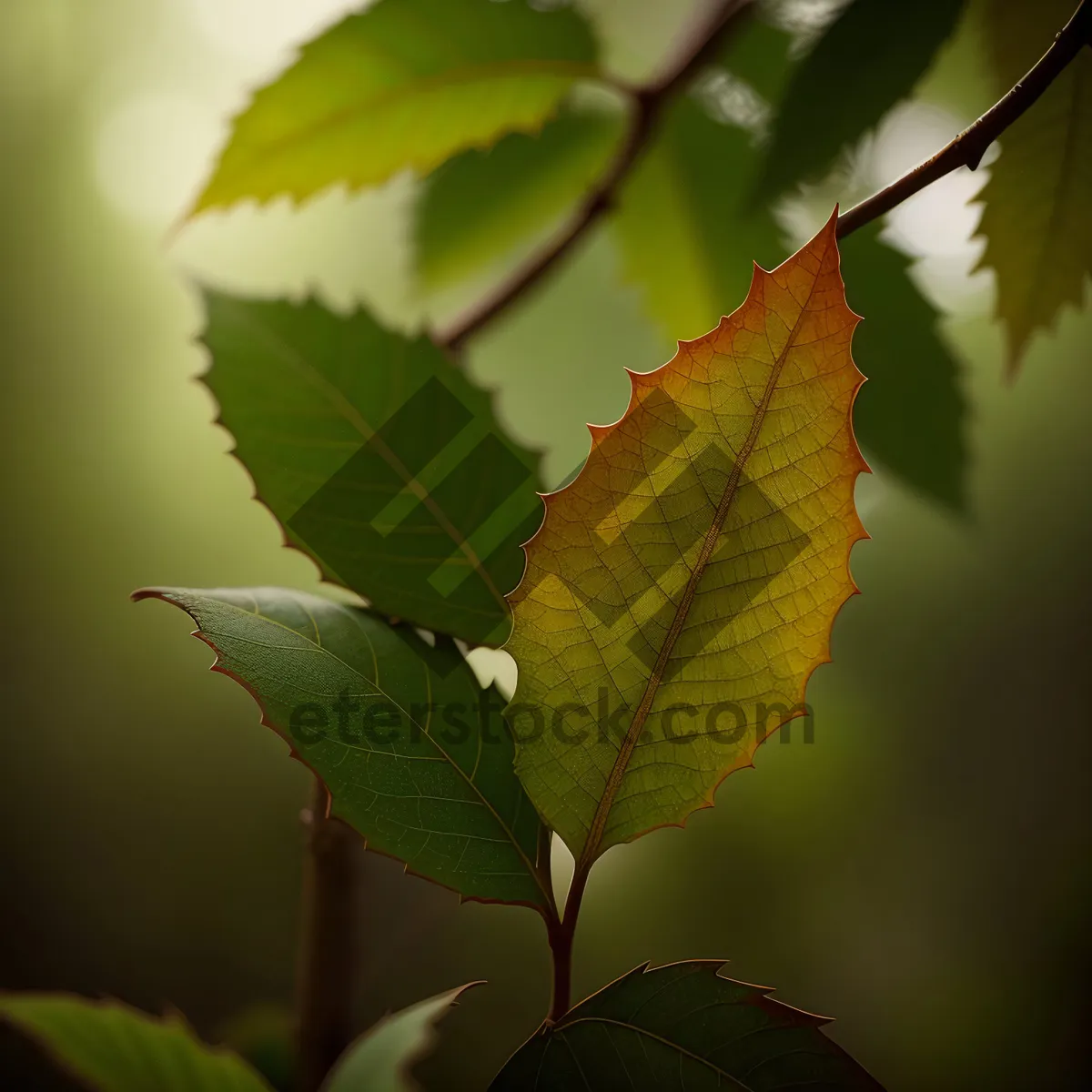 Picture of Lush Sumac Shrub in Sunlit Forest