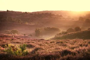 Scenic Mountain Valley Landscape View