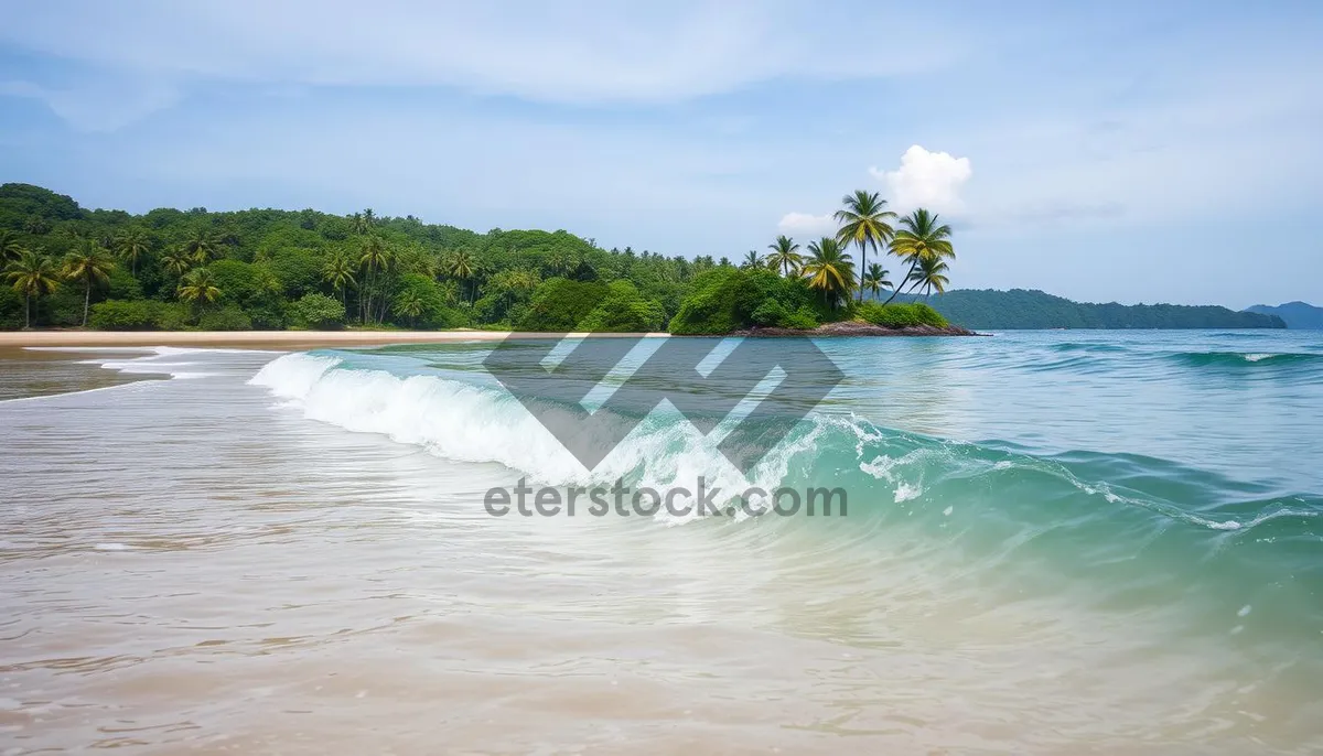 Picture of Tropical Island Paradise Relaxation by the Beach