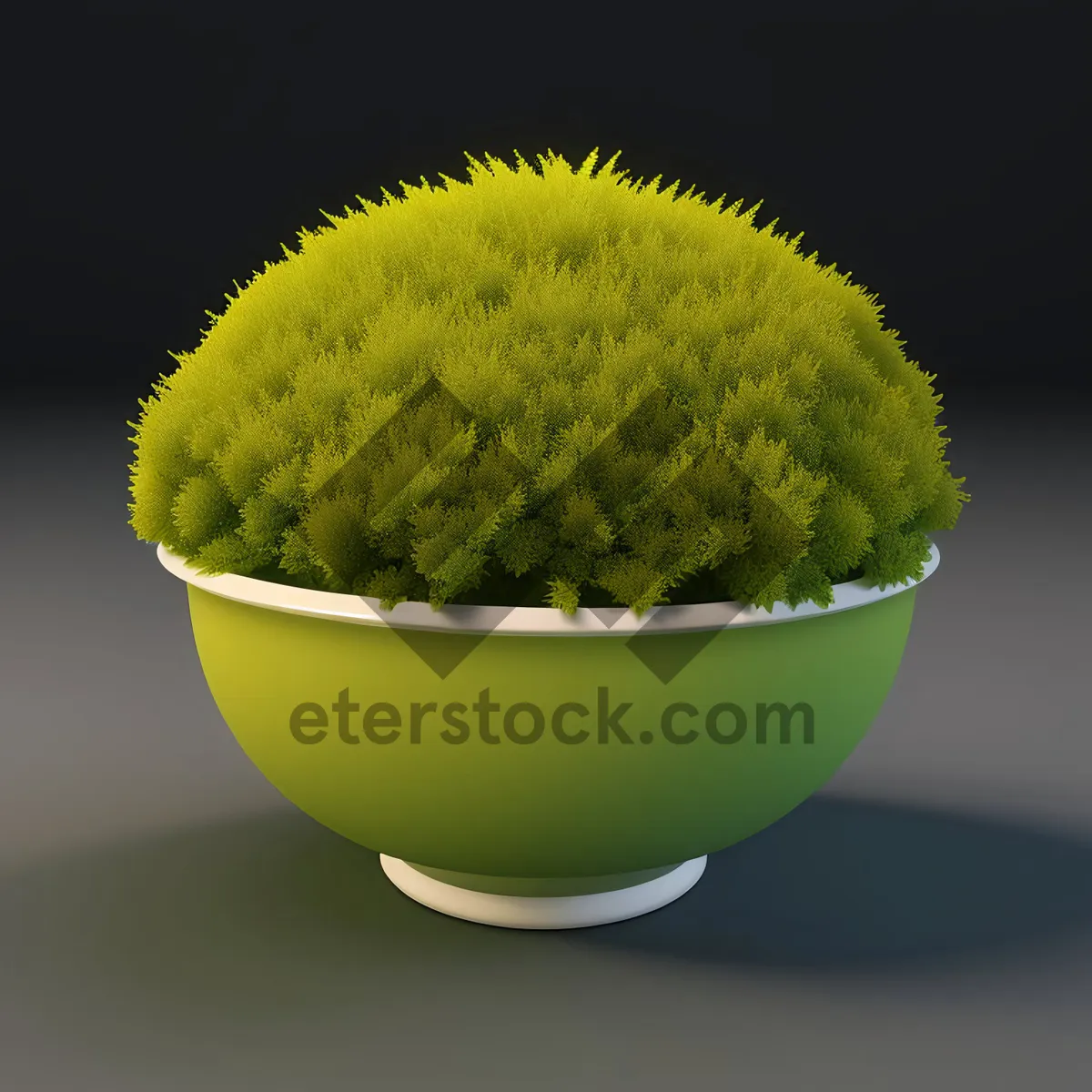 Picture of Fresh Plant in Natural Cactus Pot