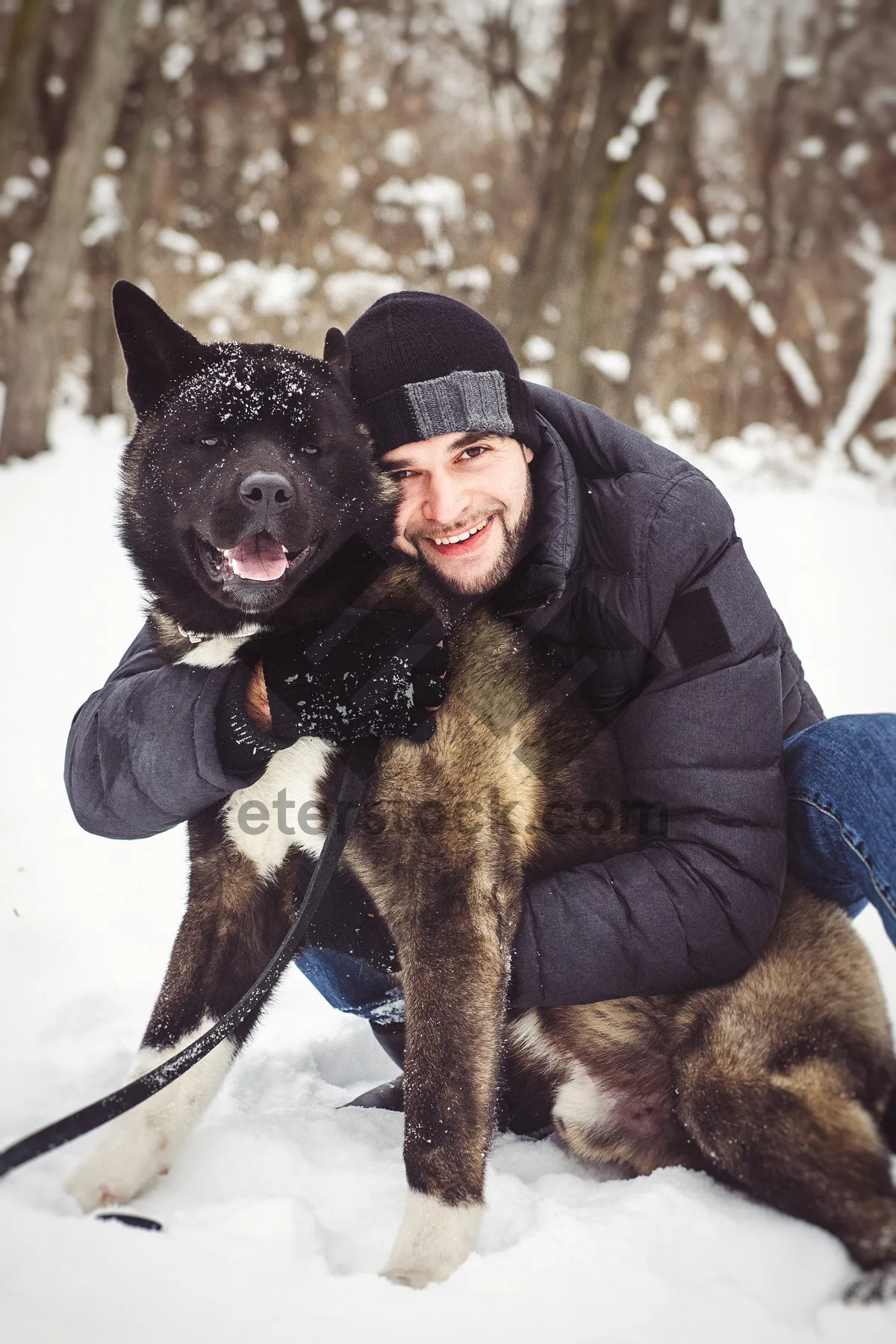 Picture of Happy man with shepherd dog sledding in snowy winter.