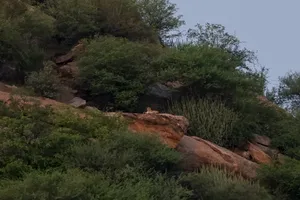 Mountain landscape with river and forest