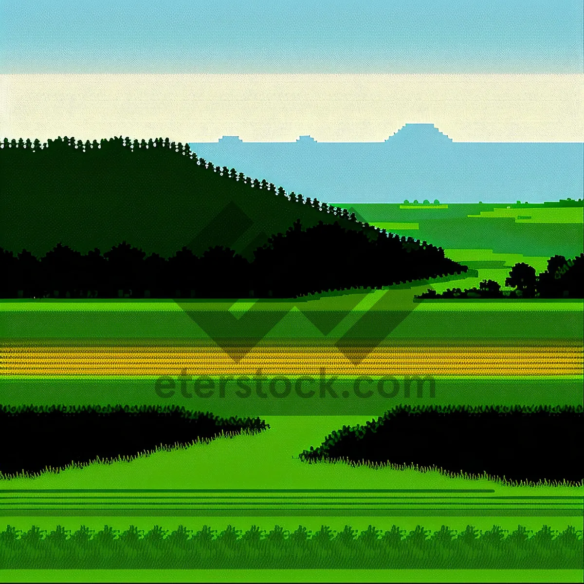 Picture of Rural Rice Field Landscape with Clear Sky