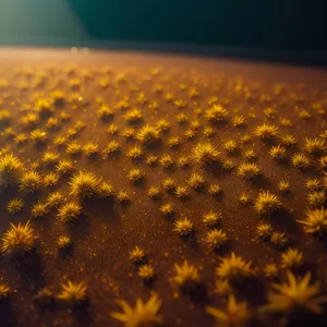 Vibrant Sunflower Bloom in Sunny Field