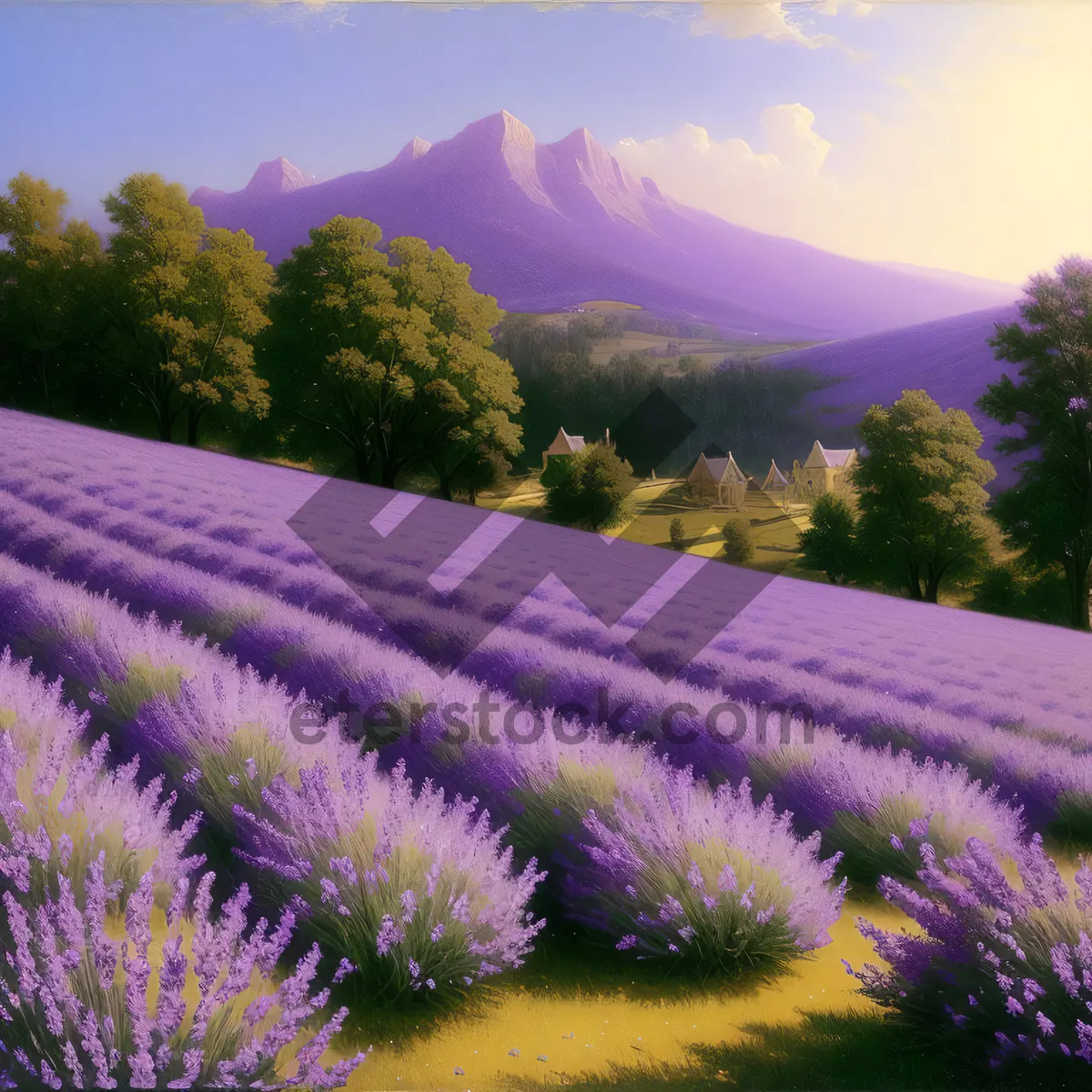 Picture of Serene Lavender Fields under the Summer Sky