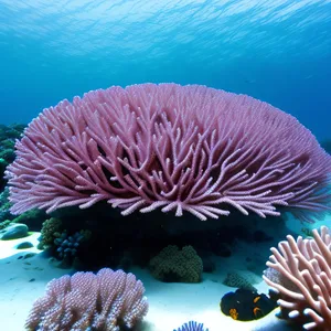 Vibrant Life Beneath the Sea: Tropical Reef Diversity
