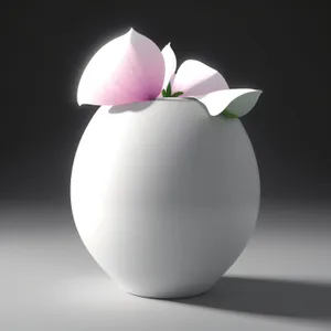 Shiny Glass Sphere Icon Set