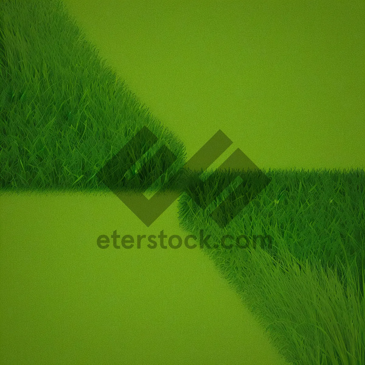 Picture of Vibrant Summer Field with Wheat and Grass