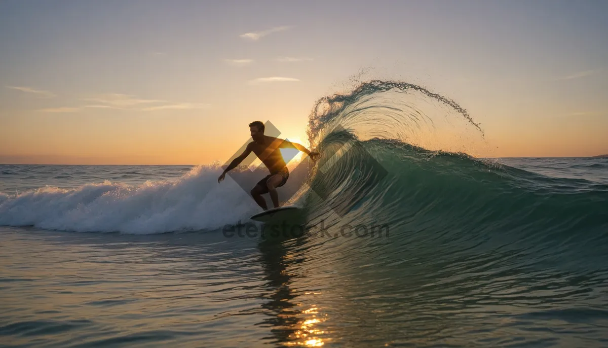 Picture of Sunset beach paddle boarding fun