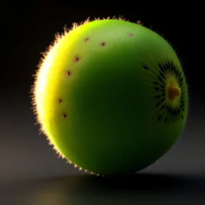 Juicy Kiwi Slice: Refreshing Tropical Fruit Delight