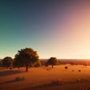 Vibrant Sunset Over Rural Landscape