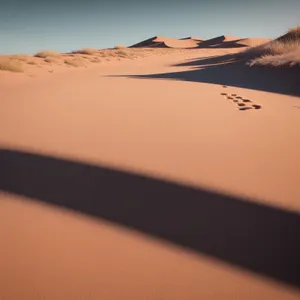 Desert Dune Landscape: Majestic Sandy Tract under Sunny Moroccan Sky