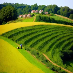 Majestic Countryside: Serene Landscape with Fields, Trees, and Hills