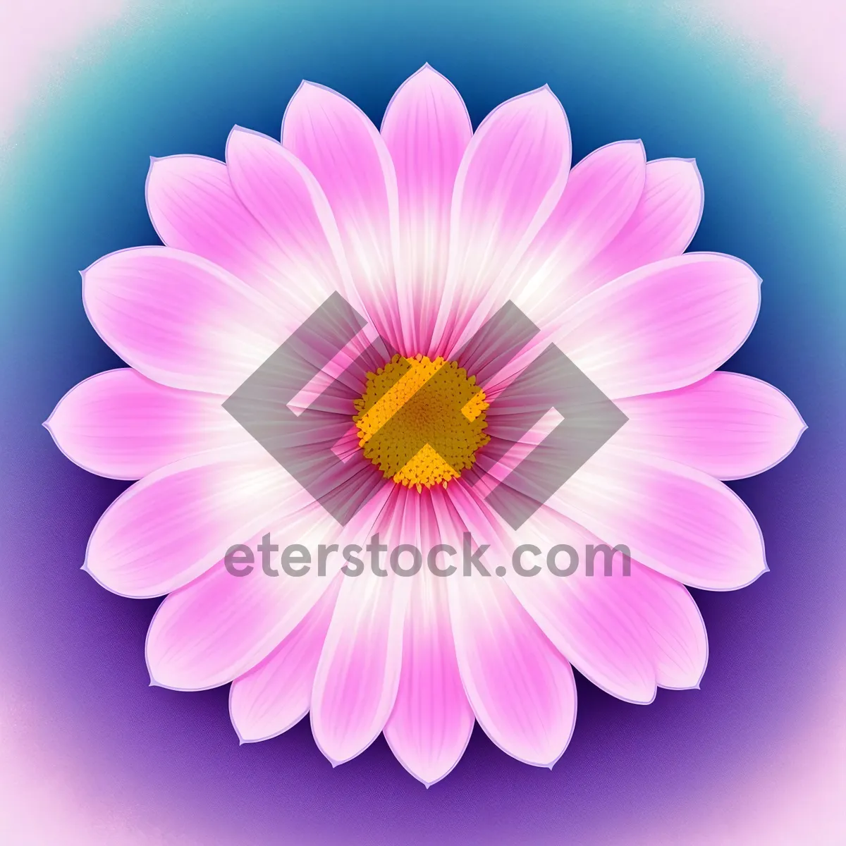 Picture of Blooming Lotus with Pink Petals – Vibrant Floral Delight