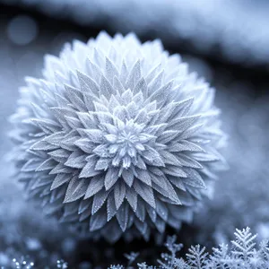 Vibrant Blue Globe Thistle Flower Blooming Against Sunny Sky