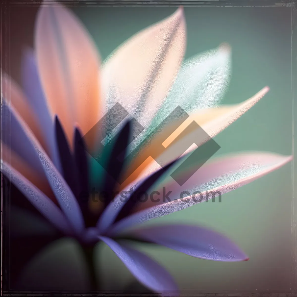 Picture of Luminous Lotus Petal Artwork with Fractal Patterns
