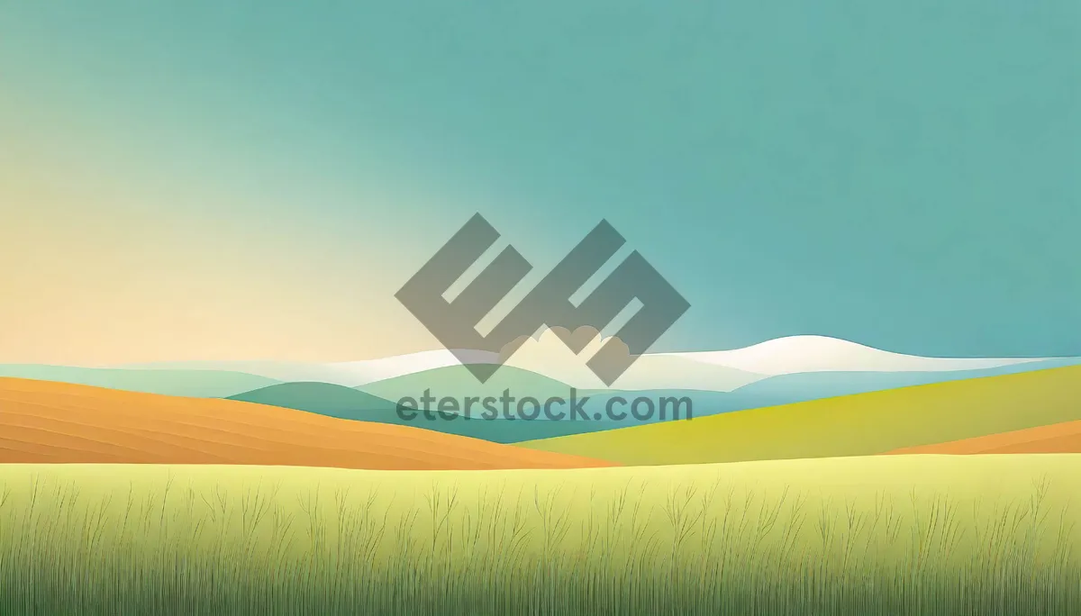 Picture of Sunny Sky Over Green Fields and Wheat Crop