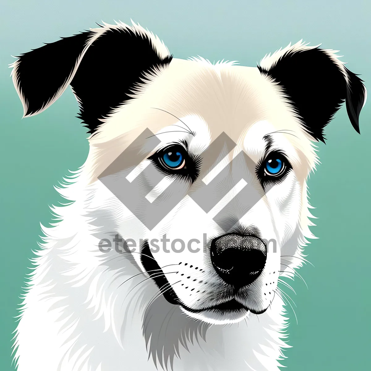 Picture of Happy Border Collie Puppy - Cute Studio Portrait