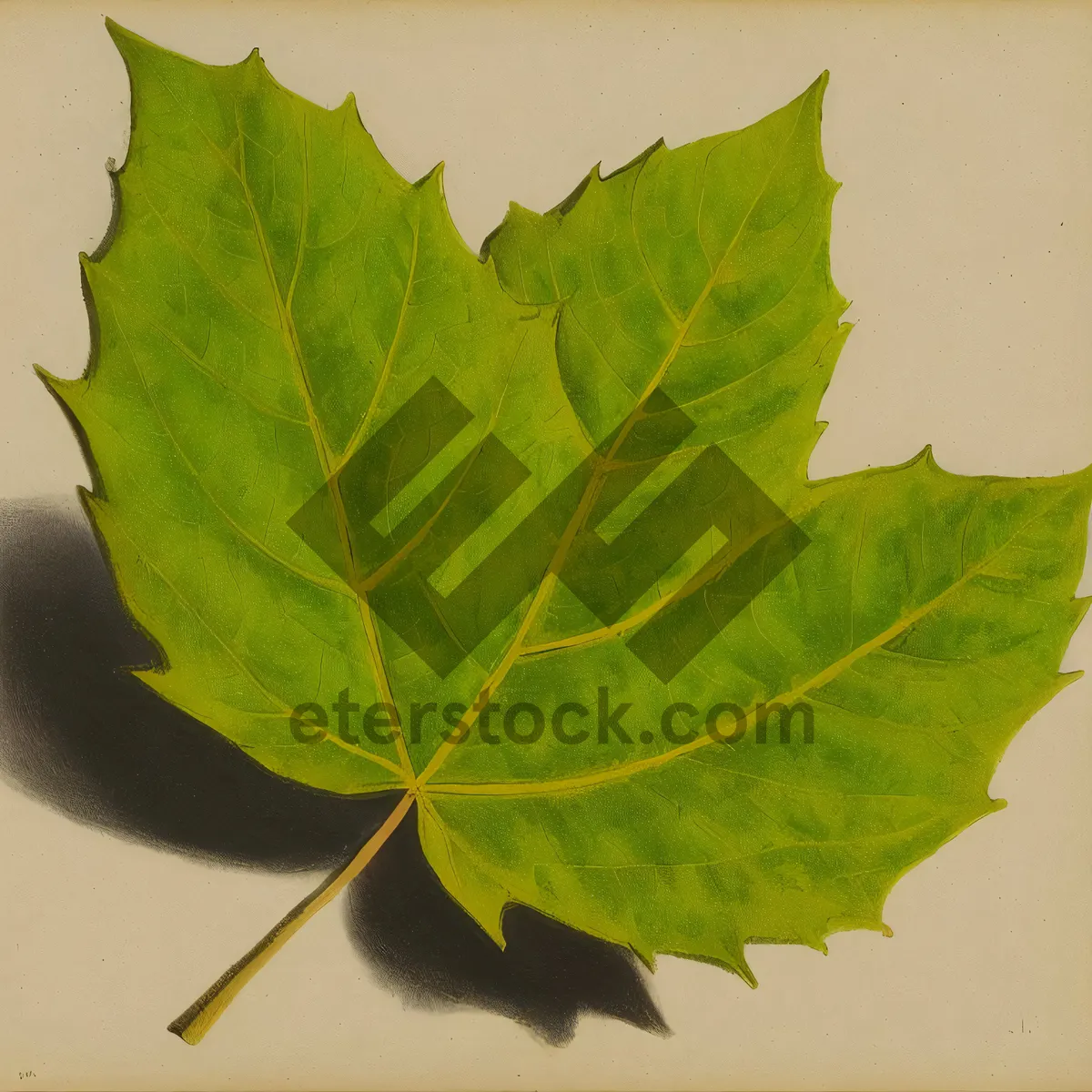 Picture of Vibrant Autumn Maple Leaf Close-Up