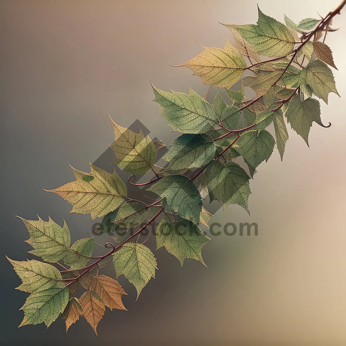 Picture of Vibrant Maple Forest Foliage