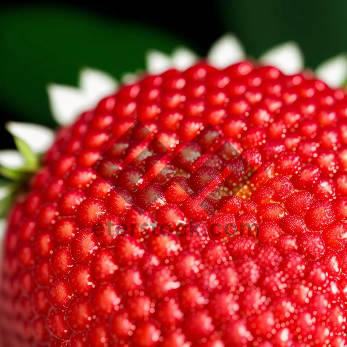 Picture of Refreshing Summer Berries Bursting with Juicy Sweetness