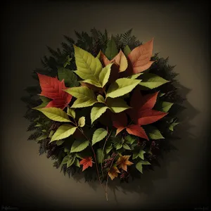 Seasonal Evergreen Holly Tree Decoration with Maple Leaves