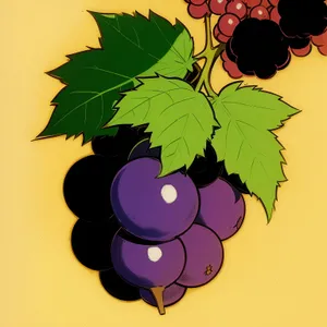 Artistic Floral Farm Grape Vineyard Design