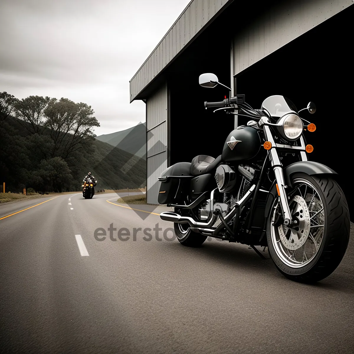 Picture of High-speed Sidecar Motorbike Racing on the Highway