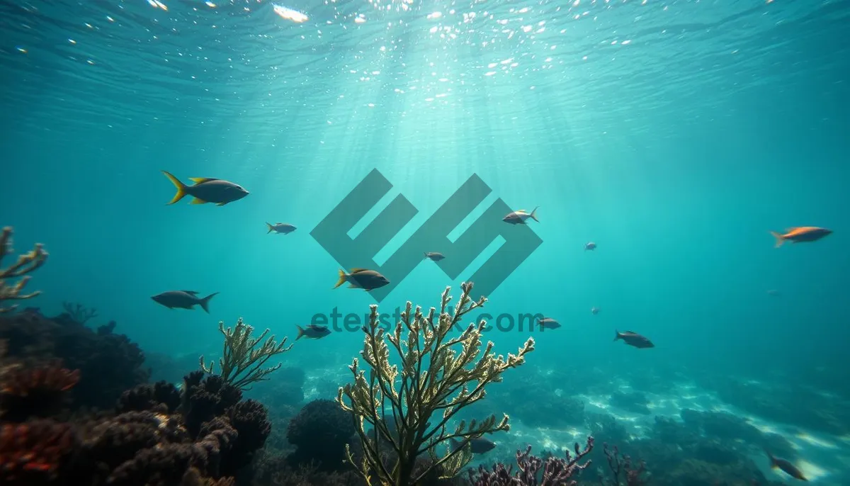 Picture of Bright tropical ray swimming in coral reef sunlight.