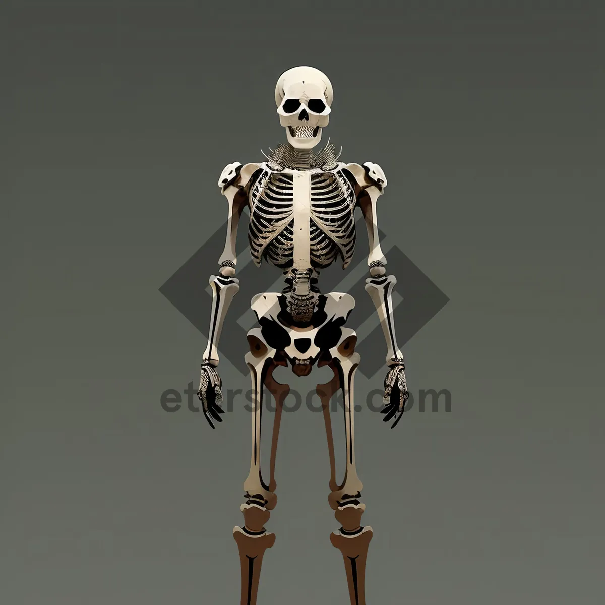 Picture of Anatomical Skeleton Chandelier: Enlightened Medical Biology