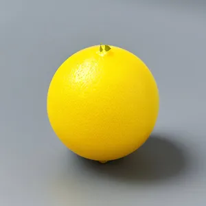 Fresh Juicy Citrus Fruits: Oranges, Lemons, Tangerines
