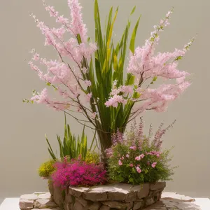 Pink Cockscomb Floral Bouquet in Vase