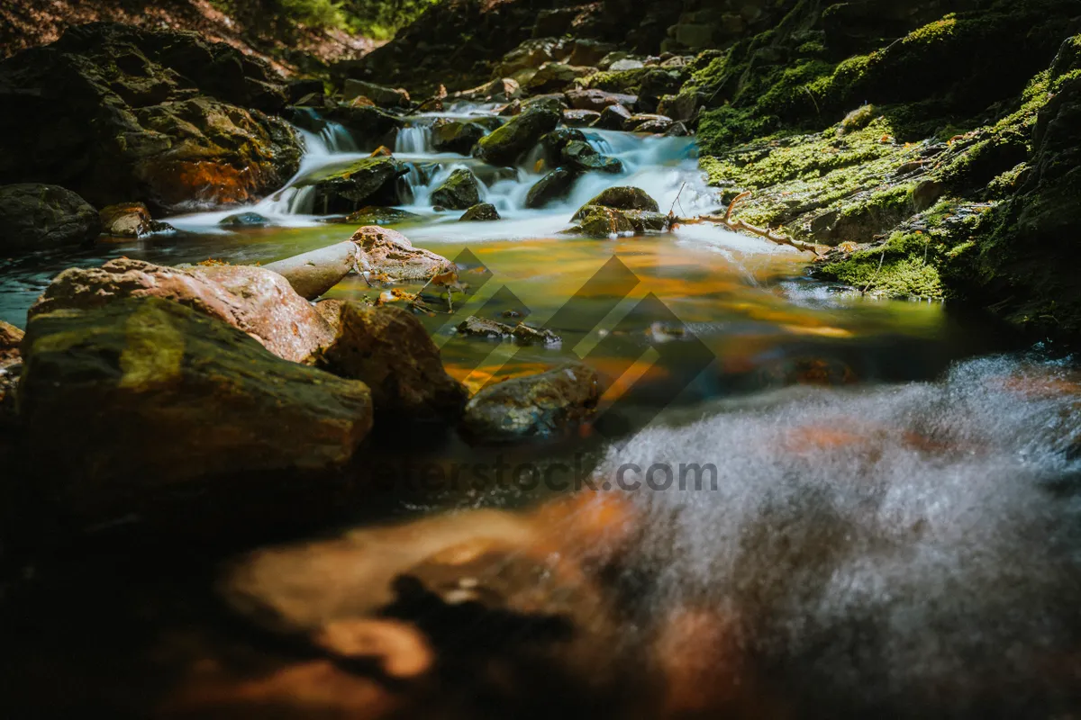 Picture of Nature's Tranquil Waterfall in the Summer Wilderness