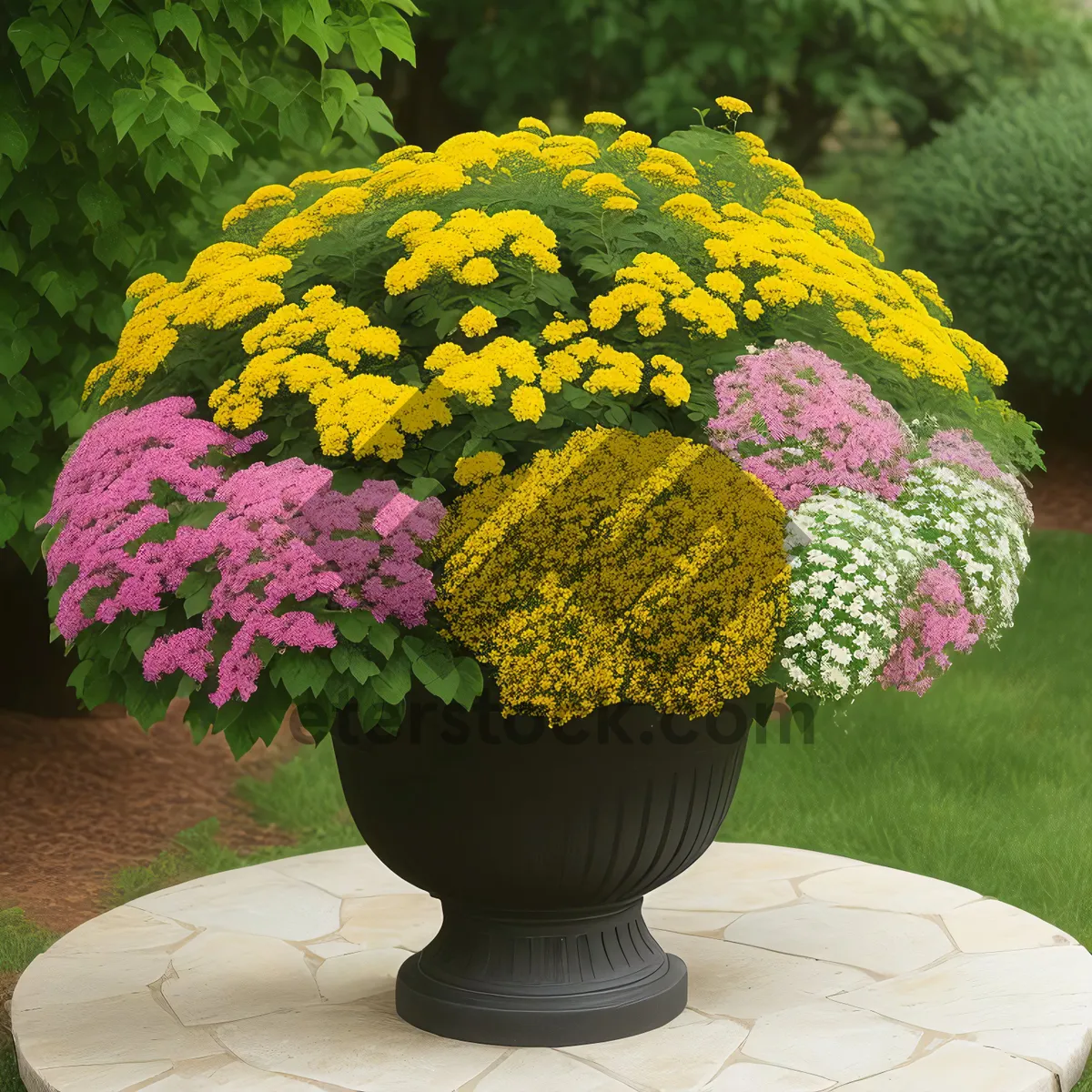 Picture of Pink Hydrangea Bloom in Colorful Vase[::-10-Flower-Arrangement-Woody-Plant-Herb-Garden-Shrub-Hydrangea-Colorful]