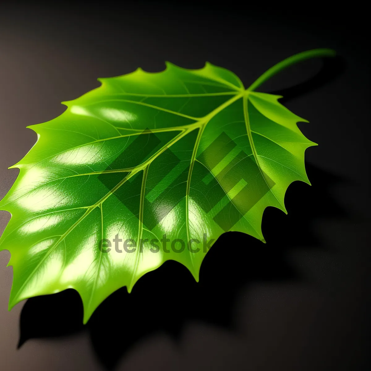 Picture of Fractal Maple Design: Colorful Dynamic Art