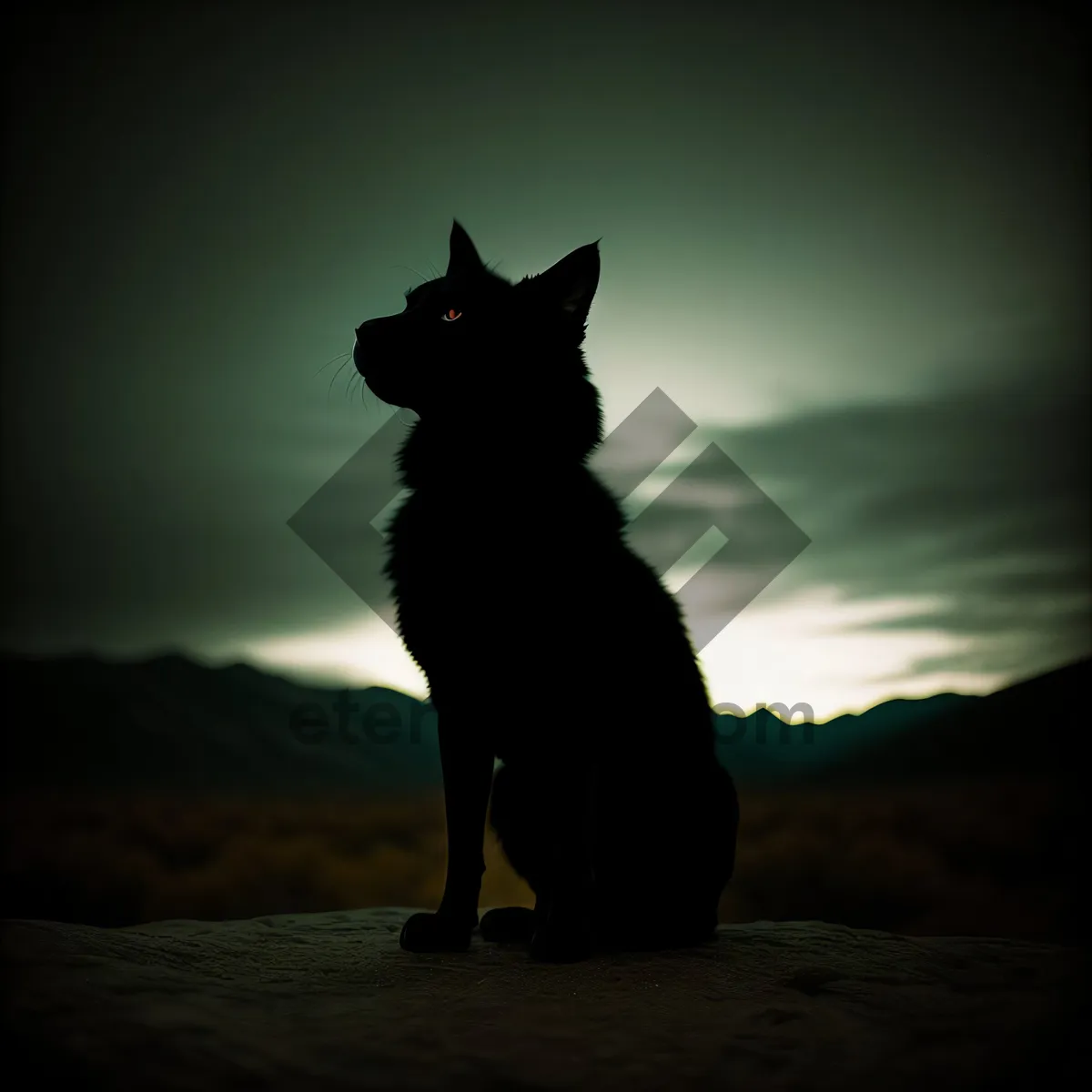 Picture of Coastal Serenity: Sunset Silhouette of Shepherd Dog on Leash