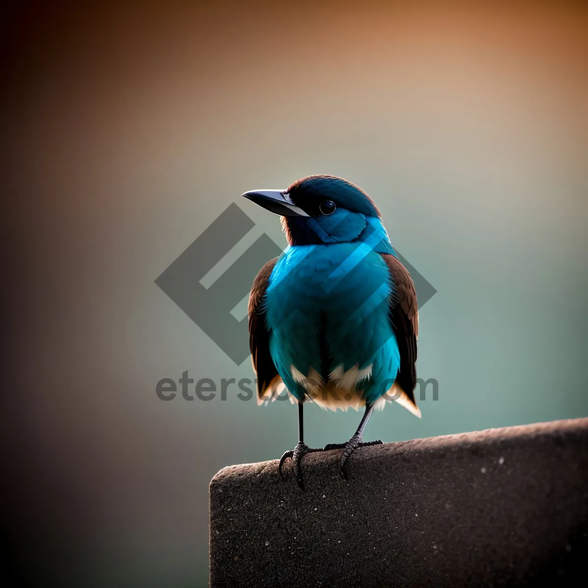 Picture of Vibrant Wild Bird with Striking Beak and Feathers