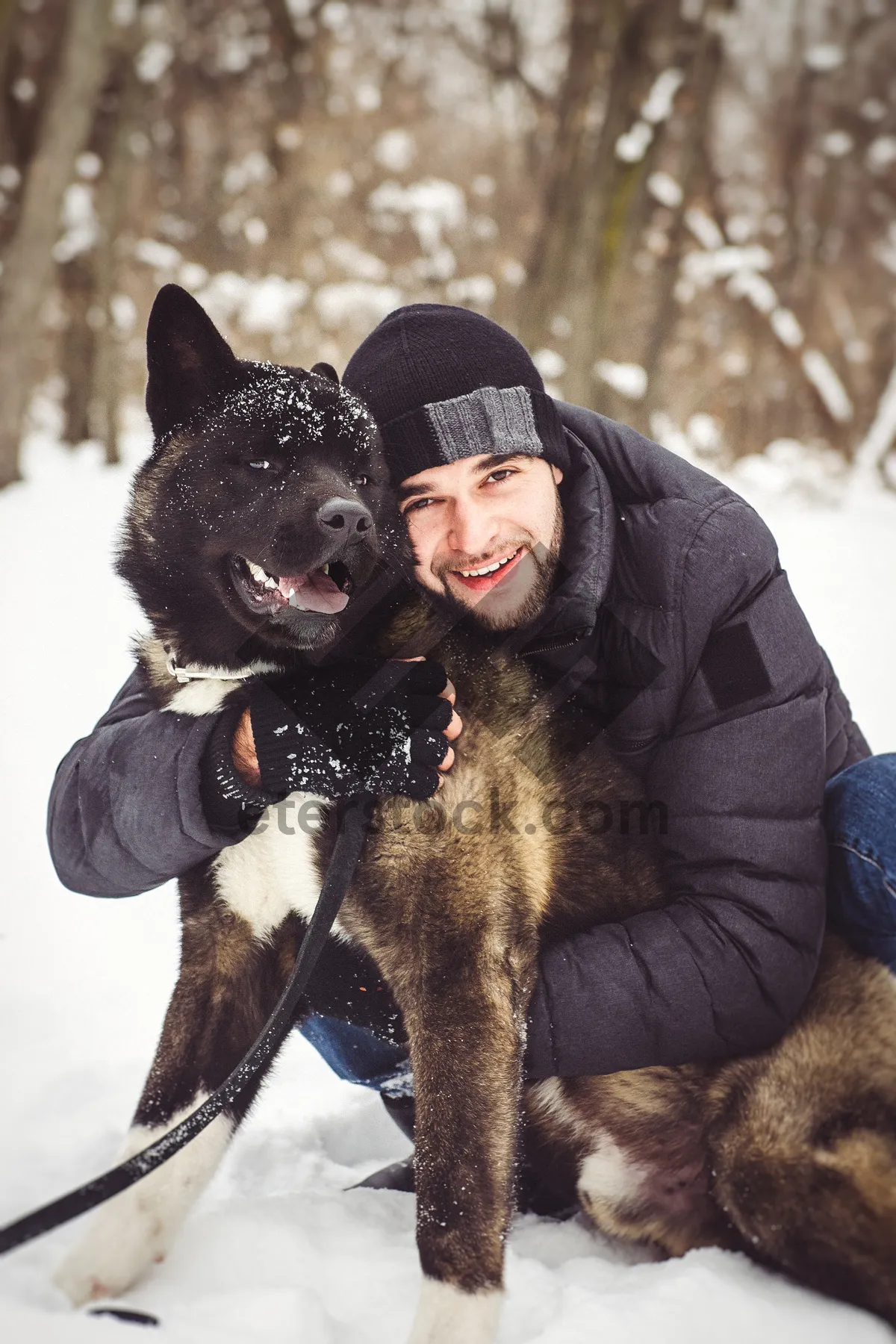 Picture of Happy person and shepherd dog playing in the snow