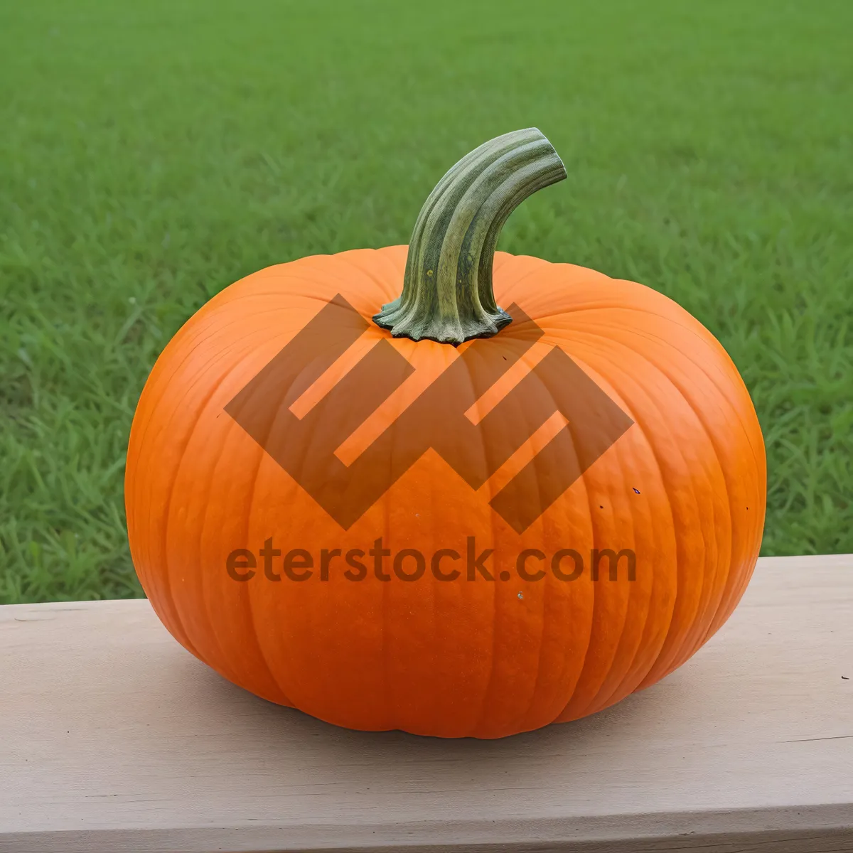 Picture of Vibrant autumn harvest showcasing colorful pumpkins