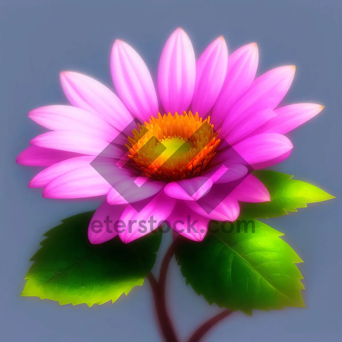 Picture of Blooming Purple Lotus Flower in Vibrant Garden