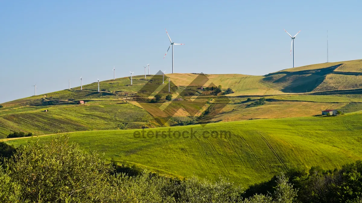 Picture of Summer rural landscape with wind turbine on hill.